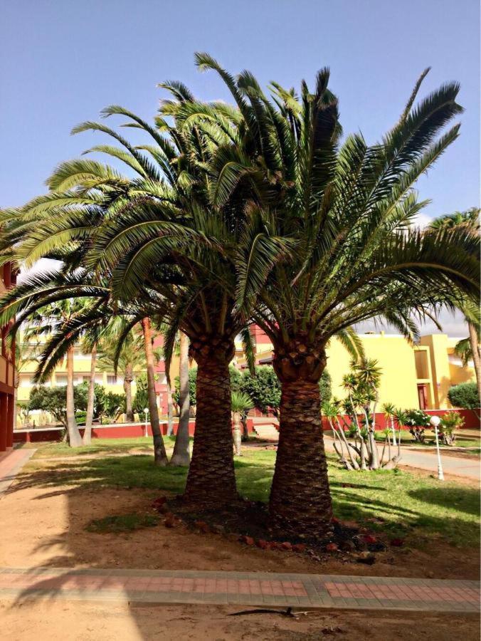 Apartment Pax Et Bonum Parque Holandes
